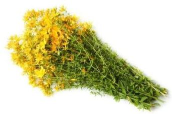 Herbs