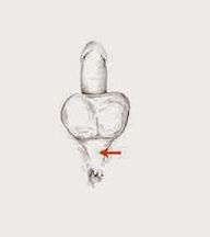 power muscles and their tension to increase power